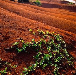 《赛博朋克2077》AI语音MOD 加入杰洛特声音